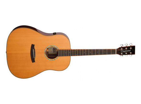 Tanglewood TRS5SE Tanglewood TRS5SE